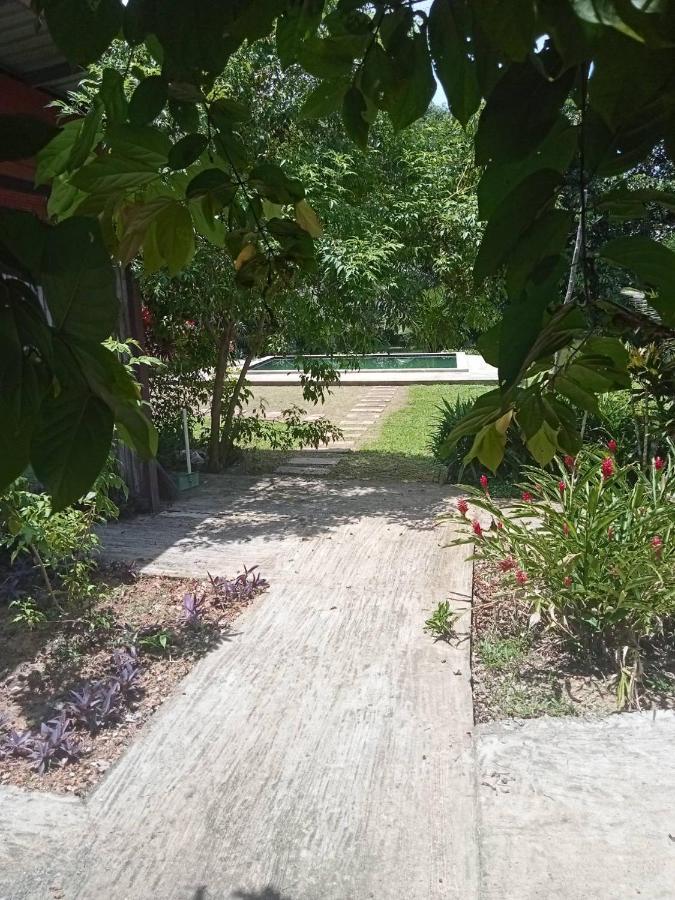 Lok Mun Bungalows Jaunoj-sziget Kültér fotó