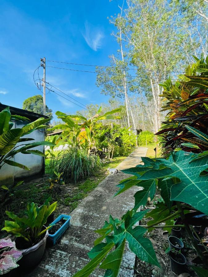 Lok Mun Bungalows Jaunoj-sziget Kültér fotó